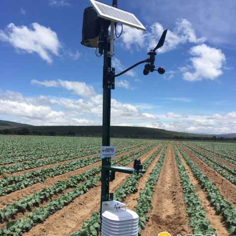 monitoreo de clima en campo abierto